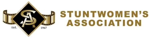 iStunt.com, Stunt Directory Logo